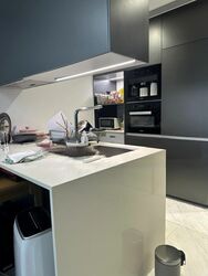 Cairnhill Nine (D9), Apartment #473415851